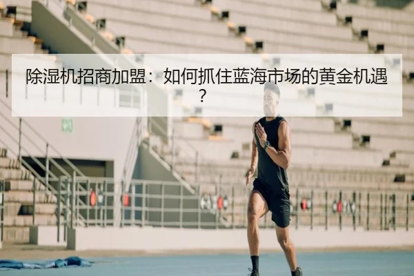 除湿机招商加盟：如何抓住蓝海市场的黄金机遇？（leyu）