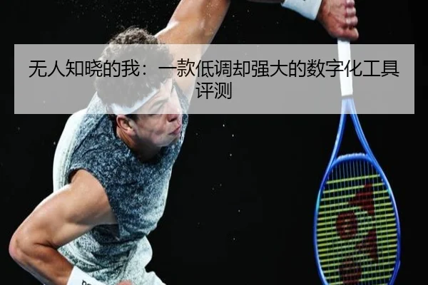 无人知晓的我：一款低调却强大的数字化工具评测（leyu）