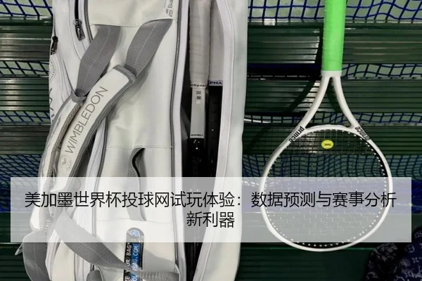 美加墨世界杯投球网试玩体验：数据预测与赛事分析新利器（leyu）